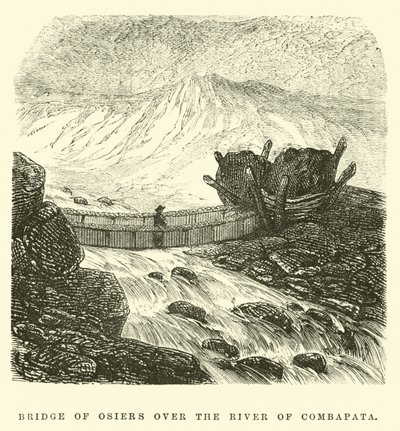 Bridge of Osiers over the River of Combapata by Edouard Riou